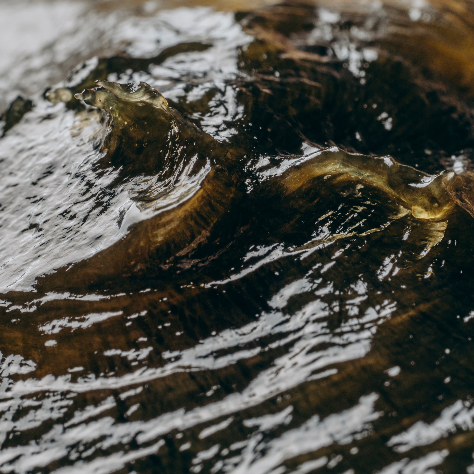 Марокански сапун Белди